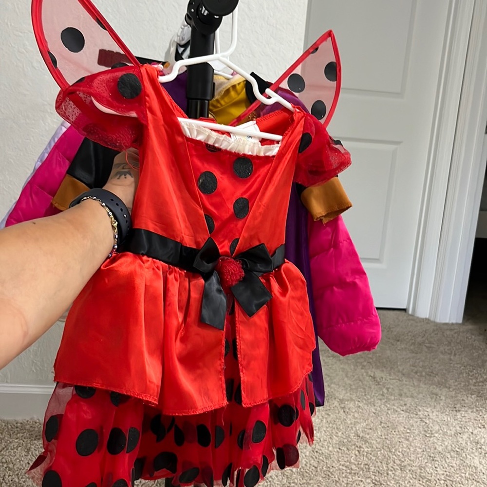Halloween costume lady bug